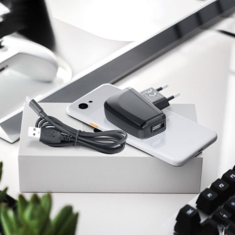 Ładowarka sieciowa do telefonu Blue Star Lite USB A 1A 5W + kabel USB A do Micro USB TFK-TC-1095B czarna