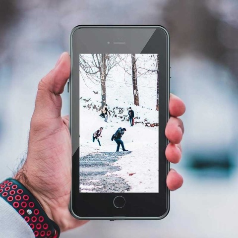 RED PEPPER iPhone 6/6S